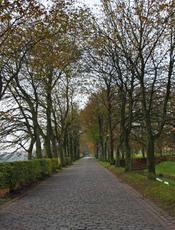 Herbststimmung-23-10-09 041.jpg